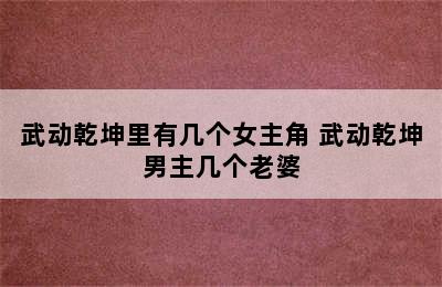 武动乾坤里有几个女主角 武动乾坤男主几个老婆